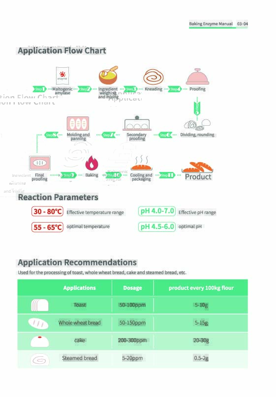 Maltogenic Amylase Application Flow
