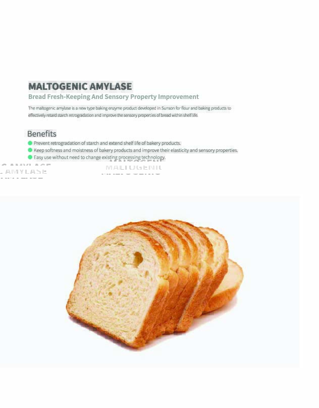 Maltogenic Amylase